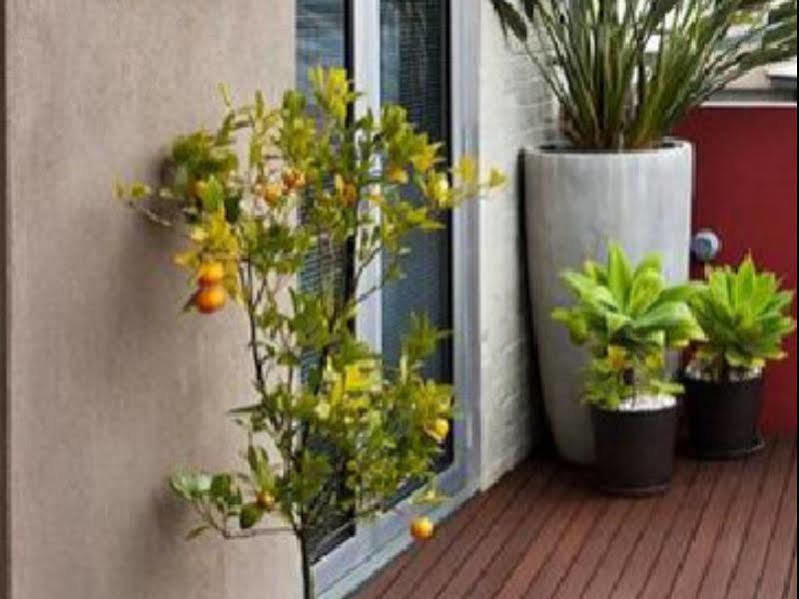 Twofourtwo Boutique Apartments Launceston Buitenkant foto